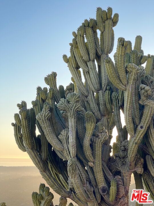 Foto del edificio - 1230 Toro Canyon Rd