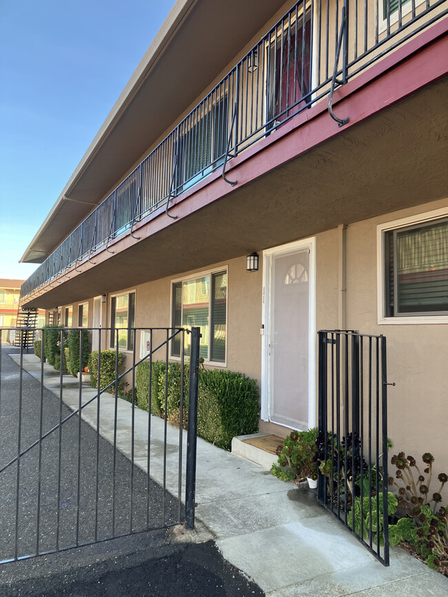 New Doors, Blinds and Windows - Argyle Apartments