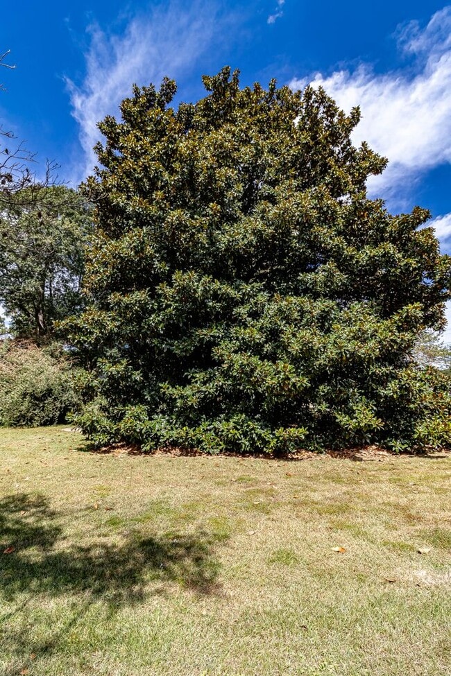 Building Photo - CHARMING 2 Bedroom/1 Bathroom w/ Bonus Roo...
