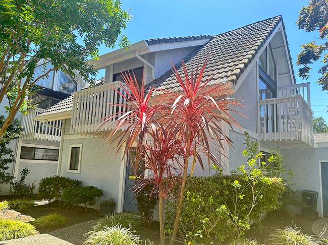 Foto del edificio - Palo Alto: Beautiful 2 Bedroom 1.5 Bathroo...
