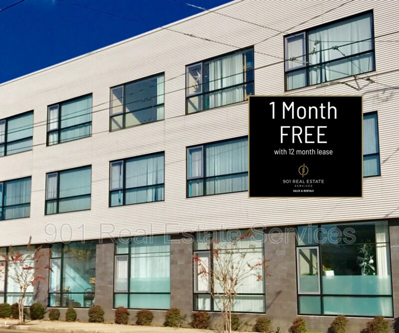 670 Madison Ave Unit 204, Memphis, TN 38103 Condo for Rent in Memphis