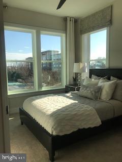 Foto del edificio - 591 Shorthorn Way