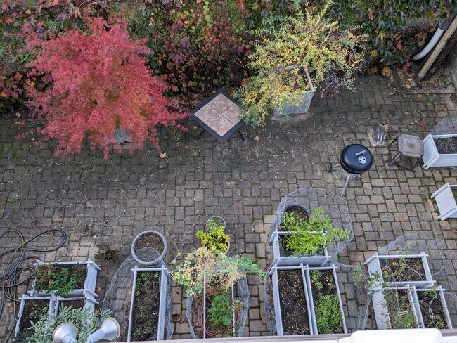 shared backyard with grill - 26 Walker St
