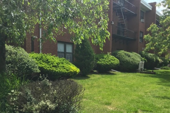 Beatiful Manicured lawn - 821 Central Ave