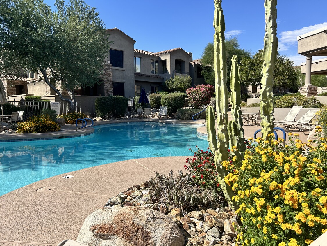 Common pool area - 19475 N Grayhawk Dr