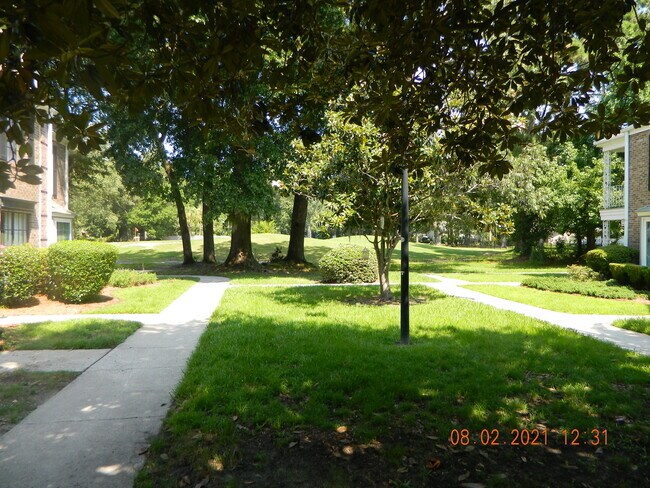 Building Photo - 2942 Cathedral Ln