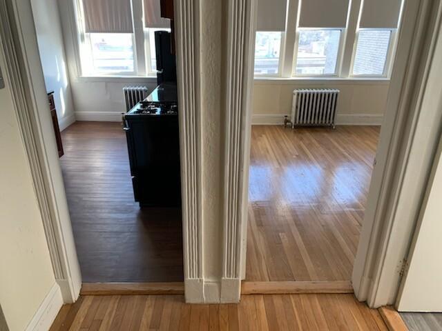 Foto del edificio - 1 bedroom in Boston MA 02135