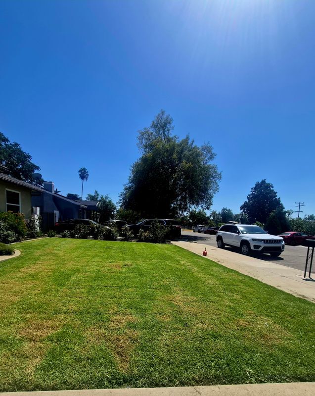 Building Photo - 3171 N Sierra Way