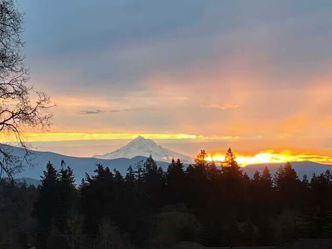 Building Photo - 1571 N 4th Ct