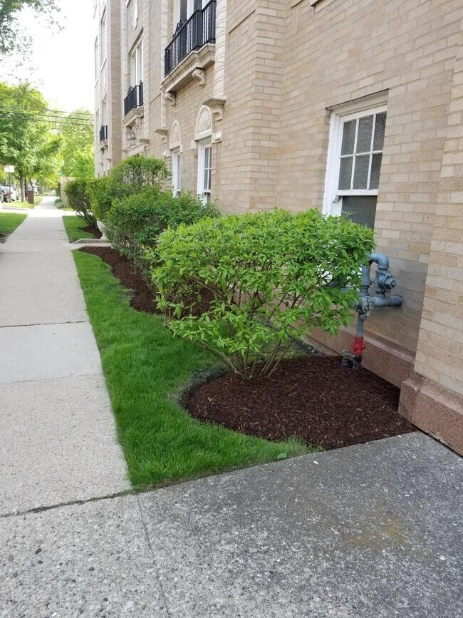 Foto del edificio - 802 Elmwood Ave