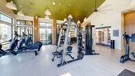 Located at 2020 Winters Eve Dr in Charlotte, NC, this fitness center offers a thoughtfully designed exercise space that combines modern aesthetics with high-end functionality. The single-floor layout is defined by soaring vaulted ceilings that create an airy, open atmosphere, while large floor-to-ceiling windows and glass doors flood the interior with natural light and provide views of the surrounding outdoor amenity areas and community.

The space is organized to accommodate a wide range of workout preferences. The cardio zone features multiple treadmills, stair climbers, stationary bikes — including a Peloton — and rowing machines, all positioned to take advantage of the generous window views. The strength training area is equally well-appointed, with cable machines, a smith machine, a full dumbbell rack, weight benches, and suspension training equipment. Large wall-mounted mirrors extend throughout the space, enhancing the sense of openness.

Architectural details include warm wood-toned accent columns, a striking green-painted ceiling section that adds a bold design element, and a mix of pendant and ceiling fan light fixtures that complement the bright, modern interior. The light-toned flooring ties the entire space together, creating a clean and motivating environment well-suited for daily fitness routines.