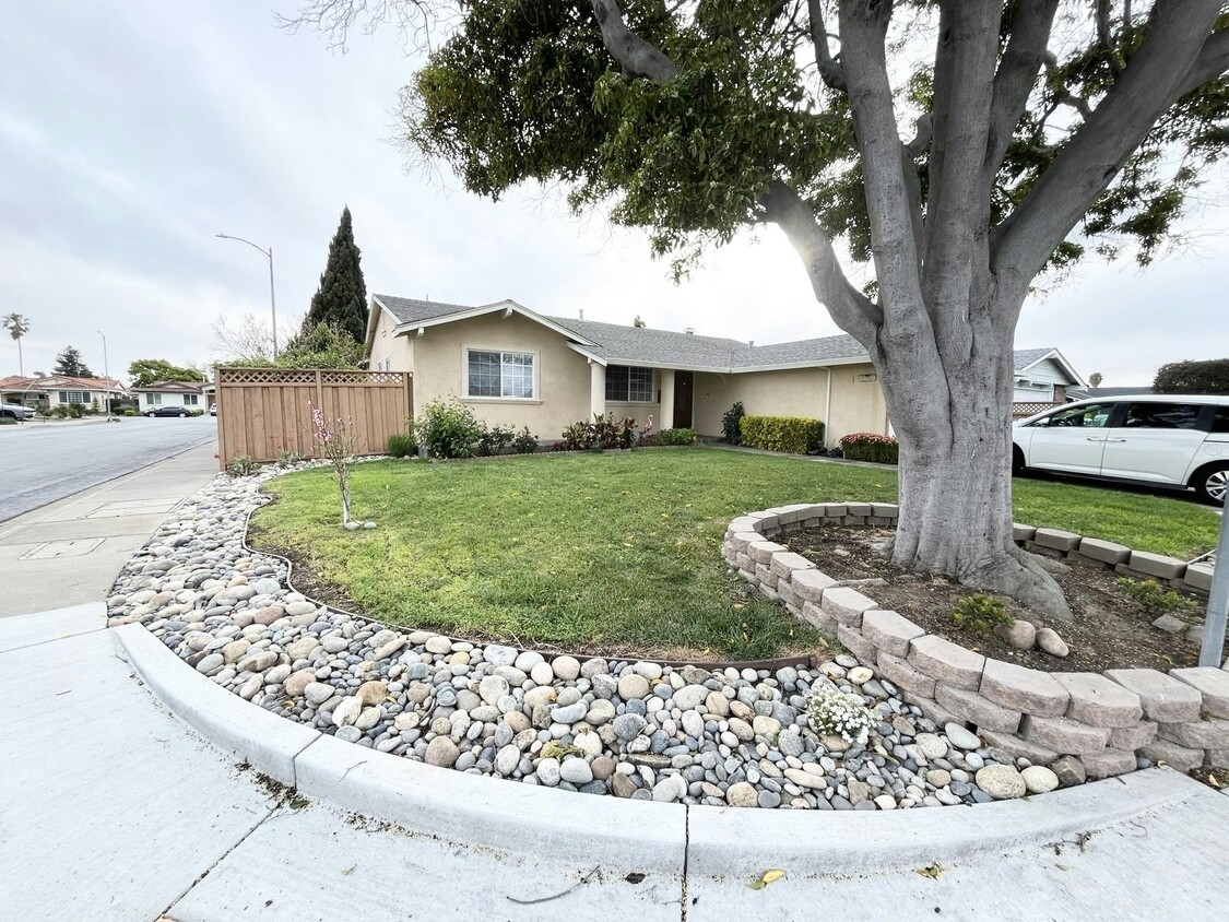Primary Photo - 35595 Ebro Court