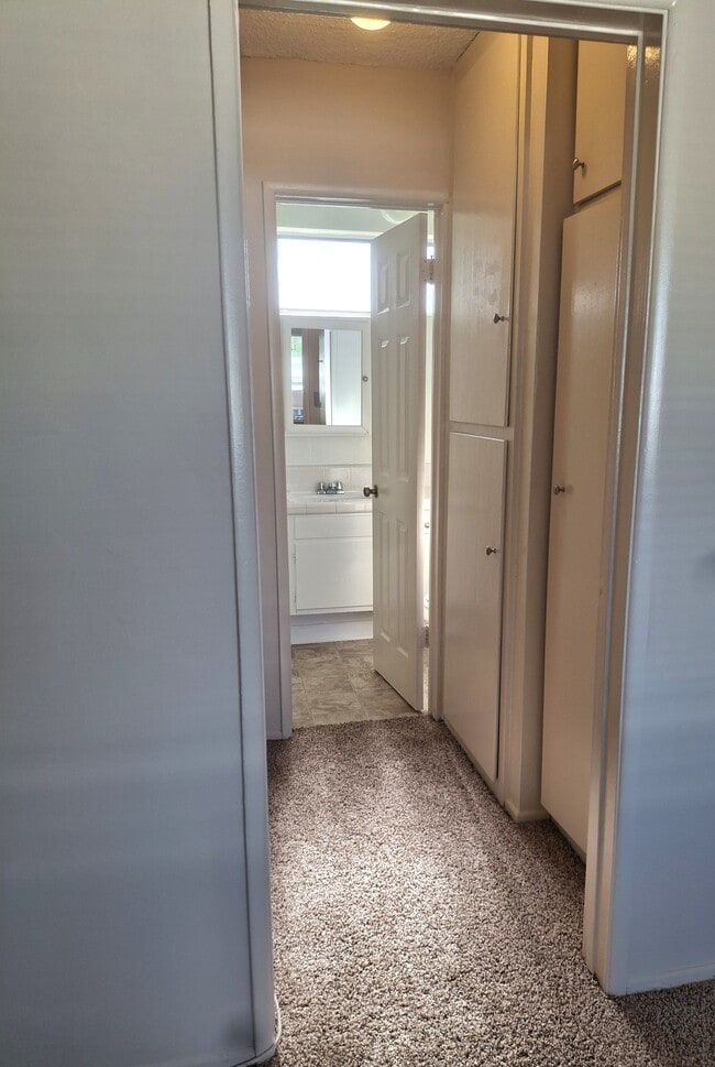 Building Photo - The Palms Apartments