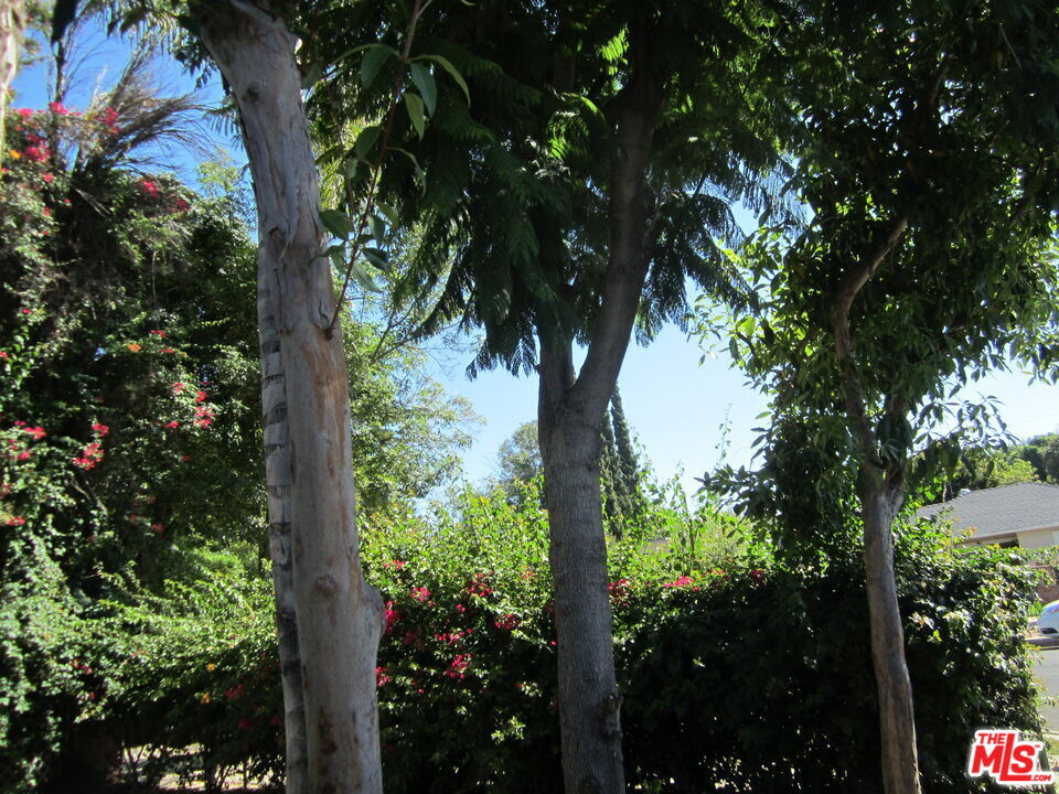 Foto principal - 6837 Lubao Ave