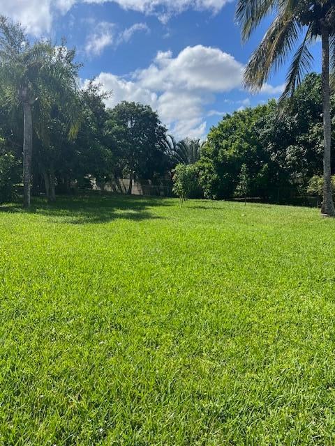 Foto del edificio - 153 Meadowlark Dr