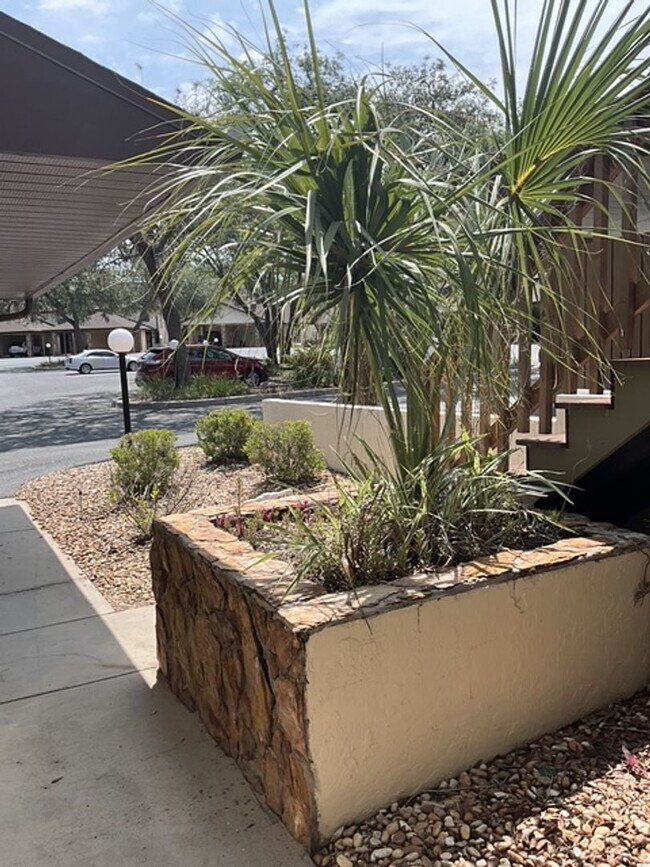 Foto del edificio - Great Location, 2 Bedroom W/ Access Citrus...