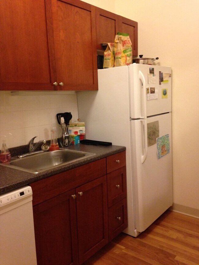 Building Photo - Beautifully renovated 1 bed steps from the Green Line.