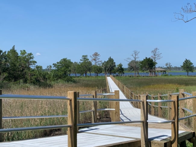 Building Photo - 6518 Sharks Tooth Trl