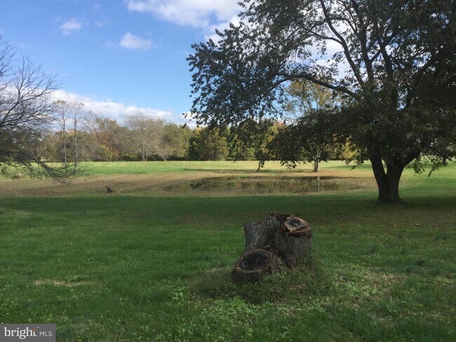 Foto del edificio - 1231 Fieldsboro Rd
