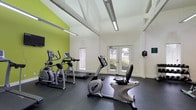 This single-story amenity clubhouse is thoughtfully designed to serve as a central gathering and wellness hub. The main lounge area immediately impresses with its soaring double-height ceilings, exposed white structural beams, and warm hardwood flooring throughout. Soft yellow walls and large floor-to-ceiling windows flood the space with natural light, while contemporary furnishings — including plush navy blue accent chairs, a round coffee table, and layered area rugs — create an inviting, relaxed atmosphere. A dedicated seating area near the rear of the lounge provides a quieter workspace, complete with a computer station and additional seating.

French doors at the rear of the lounge open directly onto an outdoor pool deck, framed by mature trees and a surrounding fence, seamlessly connecting the interior to the exterior amenity space. Transom windows above the doors further enhance the sense of openness and airiness.

The fitness center occupies a separate area of the building and features durable rubber flooring, a bold lime-green accent wall, and elevated ceilings with exposed beam detailing. The space is equipped with cardio machines, including treadmills, ellipticals, and a recumbent bike, as well as a multi-use cable strength machine and a flat-screen television. Natural light enters through a set of French doors and a side window, keeping the space bright and energized.