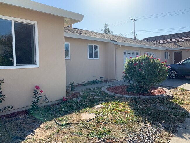 Beautiful roses - 2252 Wyda Way