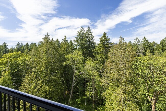 Photo du bâtiment - Marakai - Corporate