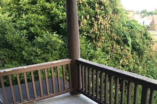 Photo - 1806 Termon Ave Apartments