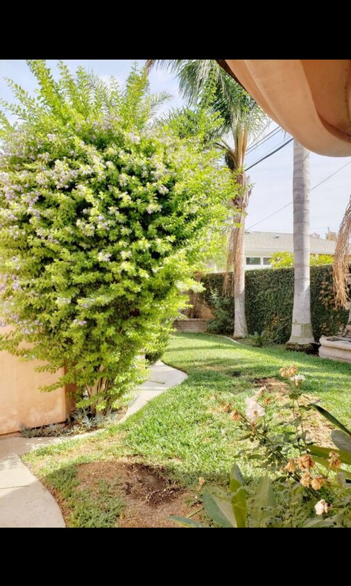 Primary Photo - 5510 E Monlaco Rd