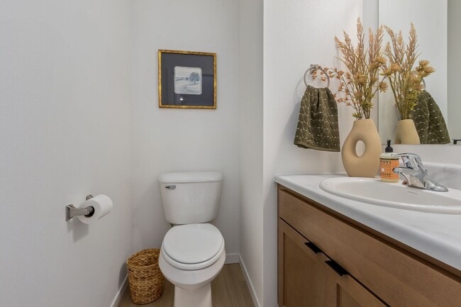 Interior Photo - The Nova