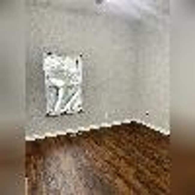 Foto del edificio - Recetly updated and convenient to downtown!