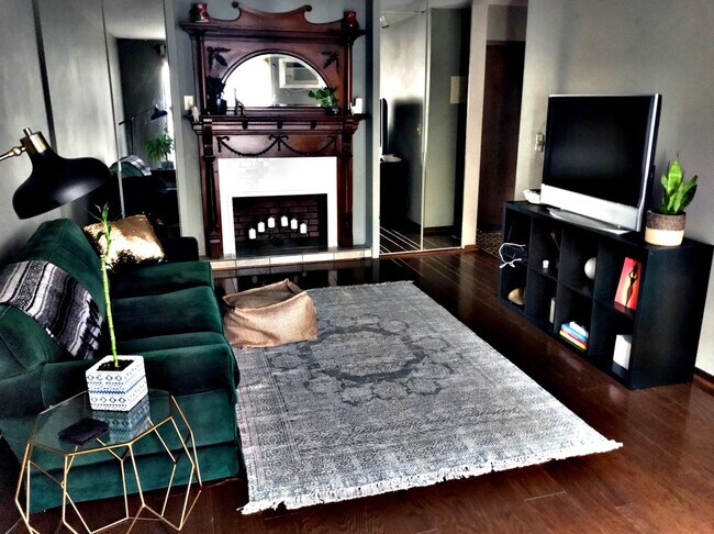 Cozy living room with faux fire place & built-in storage closets on both sides - 333 8th St SE