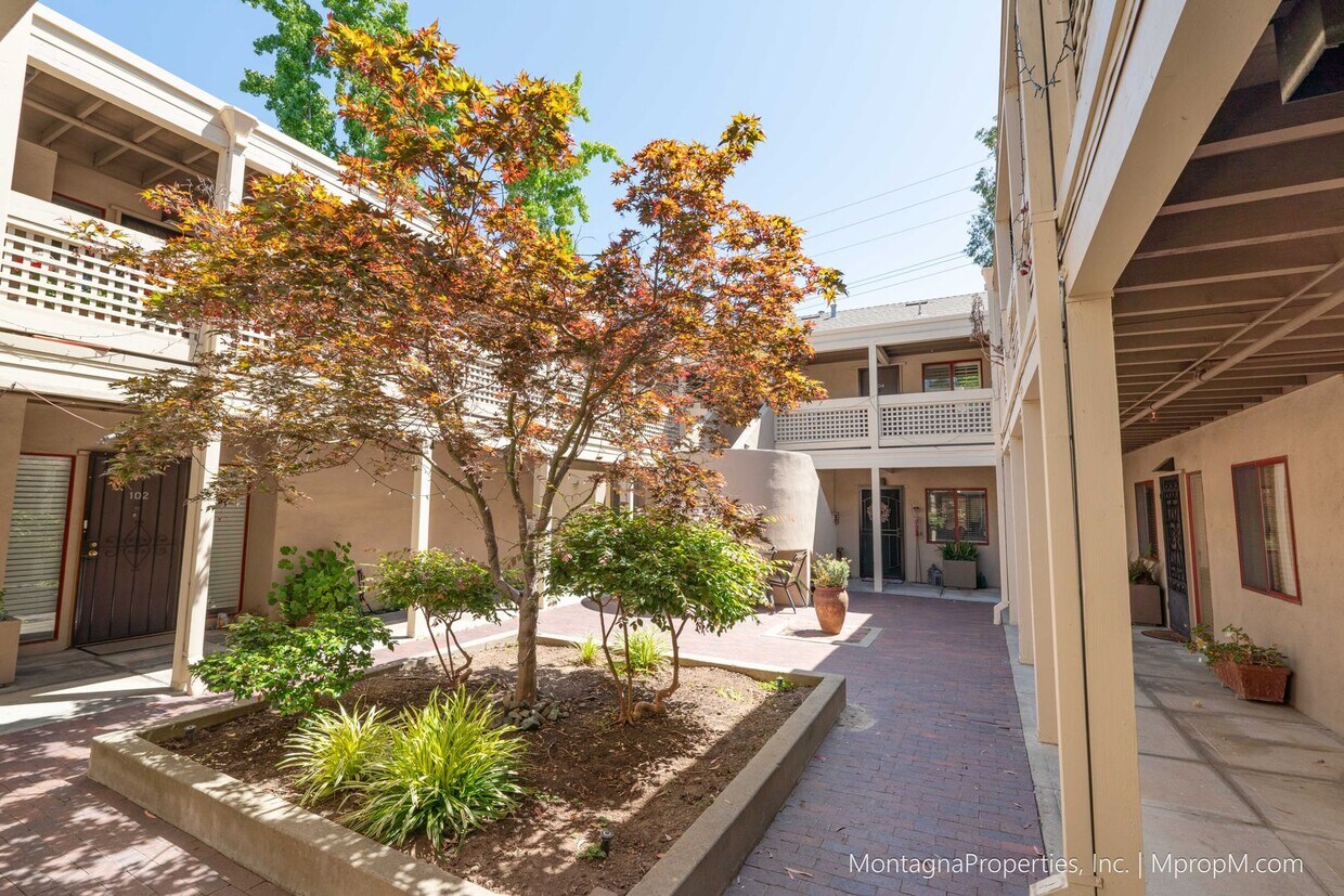 Primary Photo - Amazing Downtown Los Gatos Location * One ...