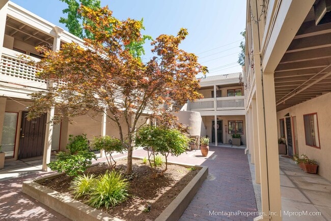 Amazing Downtown Los Gatos Location * One ... - Amazing Downtown Los Gatos Location * One ... Apartment