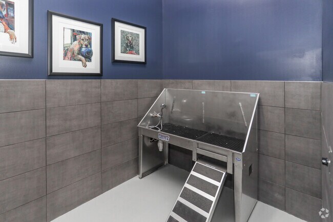 Lavado para perros - Pullman Pointe