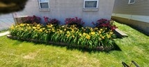 Front flower bed - 1913 6th Ave