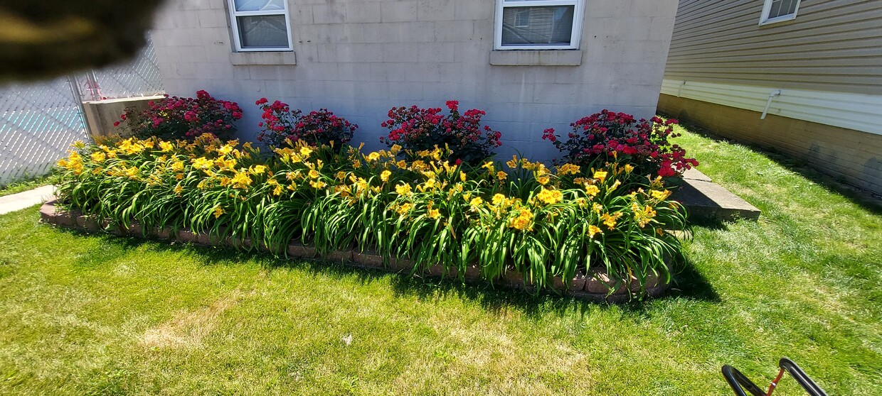 Front flower bed - 1913 6th Ave