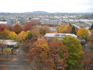 view of fall color from your deck - 2309 SW 1st Ave