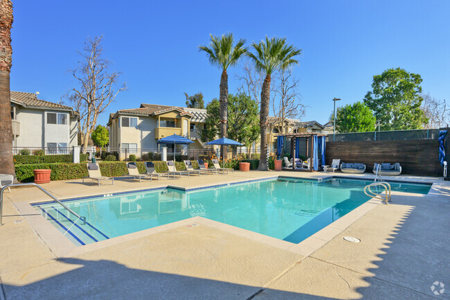 Pool - The Summit at Chino Hills Apartment Homes