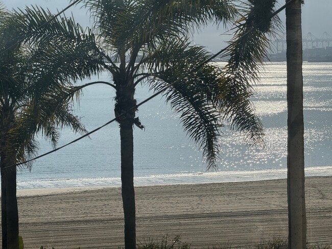 Building Photo - 1816 E Ocean Blvd