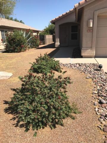 Foto del edificio - 2628 W Desert Brook Ct