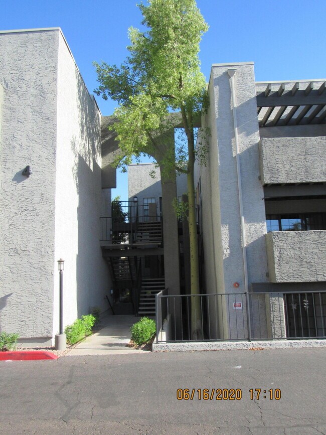 Foto del edificio - 8020 E Thomas Rd