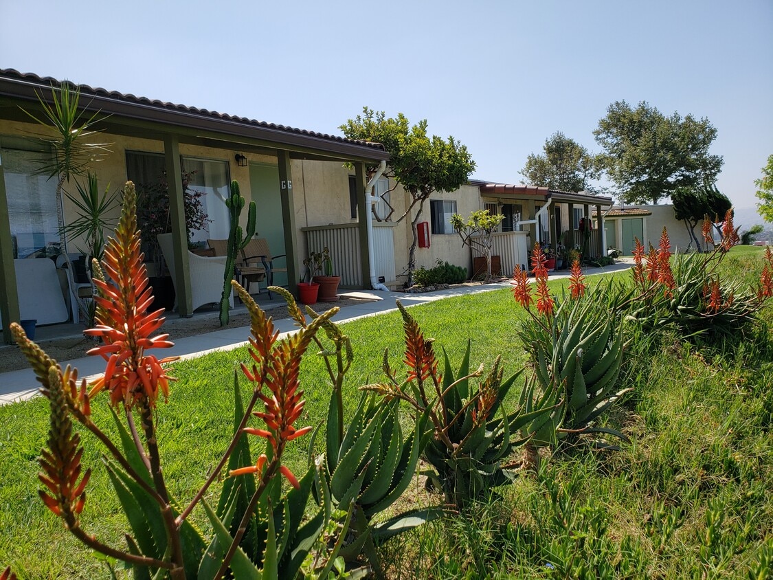 Primary Photo - Vista Del Pacifico Apartments