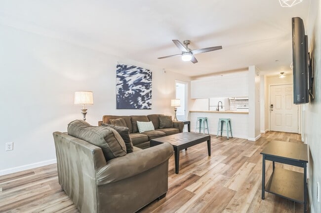 Building Photo - Furnished 4/4 University Terrace