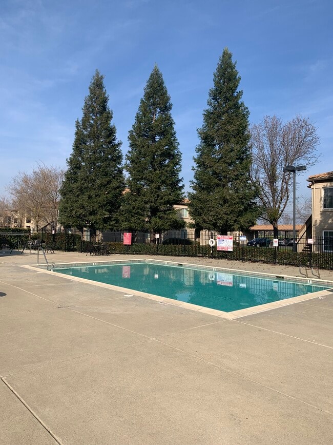 Swimming pool and hot tub - 4200 E Commerce Way