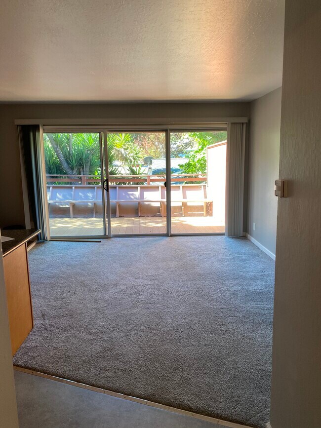 Bright Living space - 407 Maple St