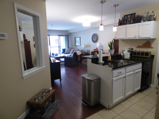 Kitchen / Living Room - 1029 N Stuart St