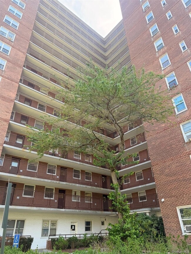 Building Photo - 98-20 62nd Dr