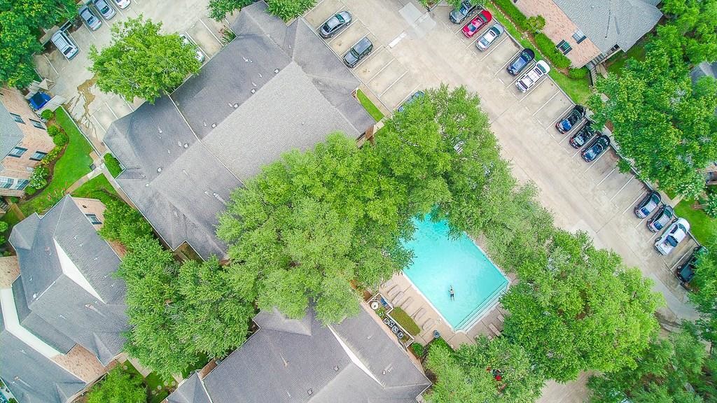 Foto principal - 2255 Braeswood Park Dr