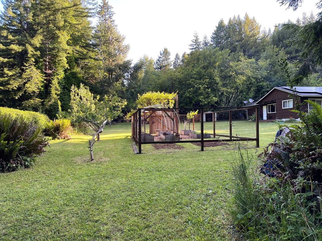 Primary Photo - Private 3-Bedroom Home on 3 Acres