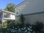 Primary Photo - 14311 Haynes St